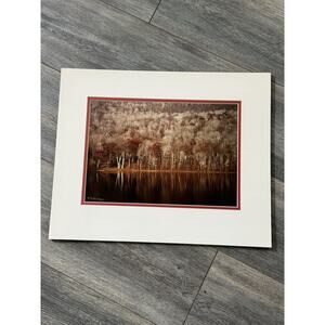 Landscape Photo Print Matted 18”x15” Tree Forrest Cottagecore Farmhouse Country